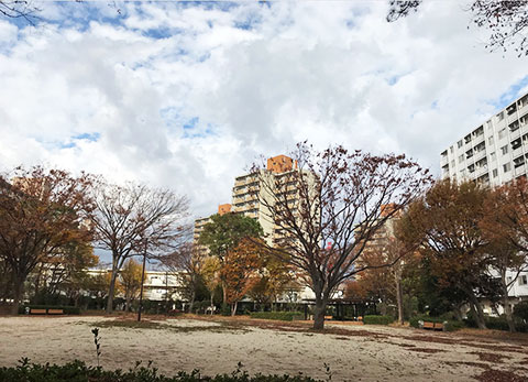 多摩市落合にある某団地